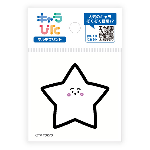 シナぷしゅ マルチプリントシート ミニサイズ