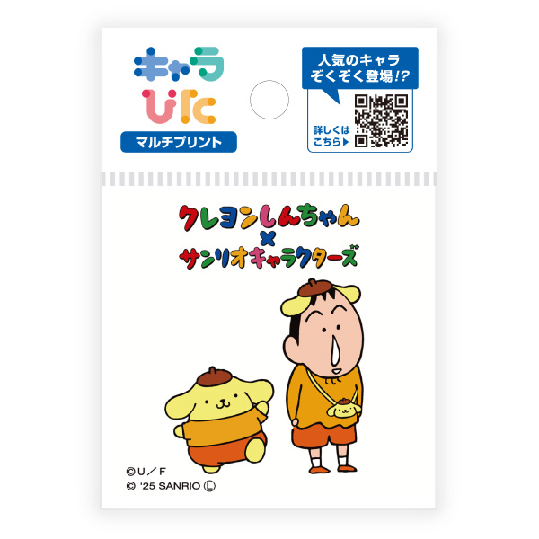 クレヨンしんちゃん×サンリオキャラクターズ マルチプリントシート ミニサイズ