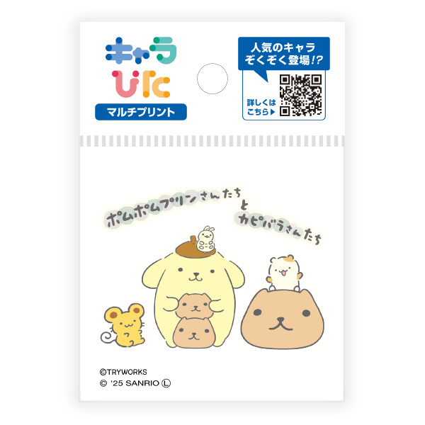 カピバラさん×サンリオキャラクターズ