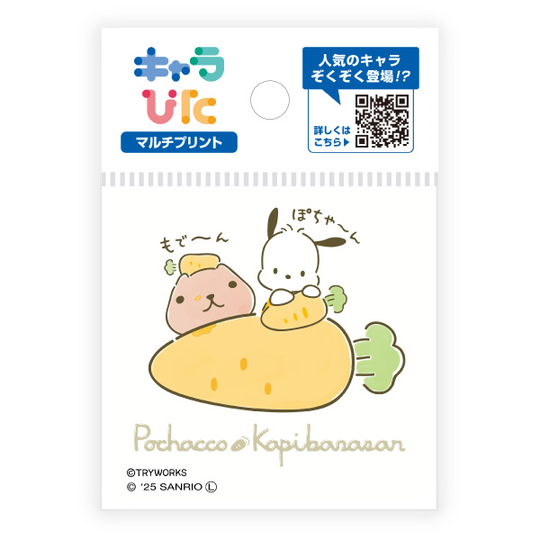 カピバラさん×サンリオキャラクターズ