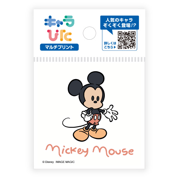 ディズニーキャラクターズ マルチプリントシート ミニサイズ