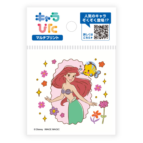 ディズニーキャラクターズ マルチプリントシート ミニサイズ