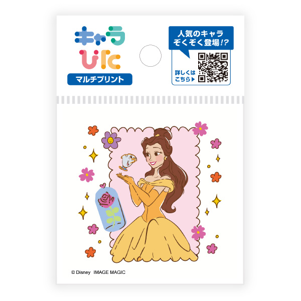 ディズニーキャラクターズ マルチプリントシート ミニサイズ